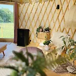 Κάμπινγκ Magnolia Hoeve - Unieke Bestemming Voor Paardenliefhebbers En Bijzondere Overnachtingen In De Ledeacker