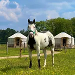 Magnolia Hoeve - Unieke Bestemming Voor Paardenliefhebbers En Bijzondere Overnachtingen In De Parque de Campismo