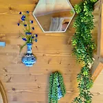 Κάμπινγκ Magnolia Hoeve - Unieke Bestemming Voor Paardenliefhebbers En Bijzondere Overnachtingen In De Ledeacker