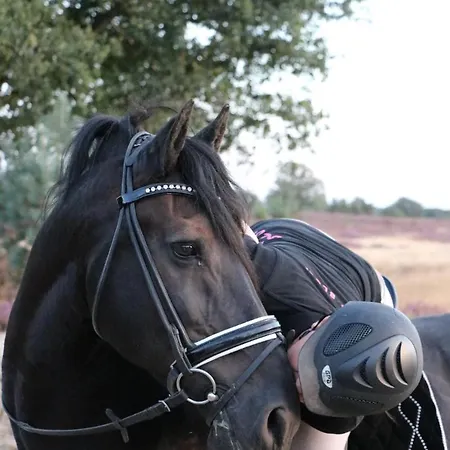 Magnolia Hoeve - Unieke Bestemming Voor Paardenliefhebbers En Bijzondere Overnachtingen In De 营地 Ledeacker