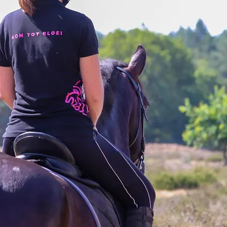 Magnolia Hoeve - Unieke Bestemming Voor Paardenliefhebbers En Bijzondere Overnachtingen In De Ledeacker