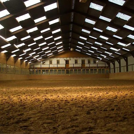 Magnolia Hoeve - Unieke Bestemming Voor Paardenliefhebbers En Bijzondere Overnachtingen In De 营地 Ledeacker