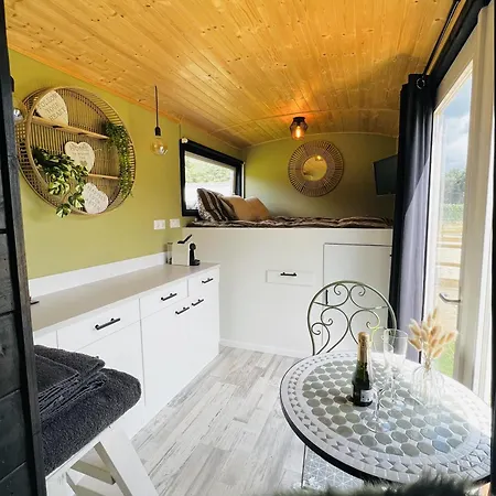 Magnolia Hoeve - Unieke Bestemming Voor Paardenliefhebbers En Bijzondere Overnachtingen In De مكان تخييم Ledeacker