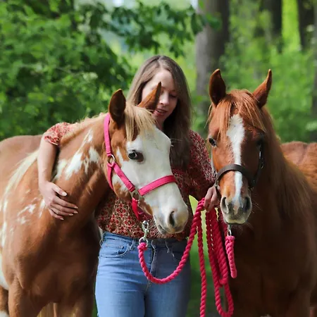营地 Magnolia Hoeve - Unieke Bestemming Voor Paardenliefhebbers En Bijzondere Overnachtingen In De