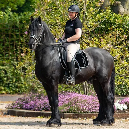 Magnolia Hoeve - Unieke Bestemming Voor Paardenliefhebbers En Bijzondere Overnachtingen In De Ledeacker