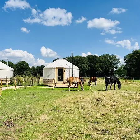 营地 Magnolia Hoeve - Unieke Bestemming Voor Paardenliefhebbers En Bijzondere Overnachtingen In De