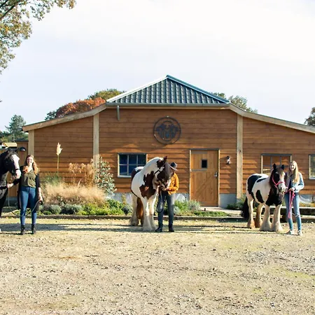 Magnolia Hoeve - Unieke Bestemming Voor Paardenliefhebbers En Bijzondere Overnachtingen In De 营地
