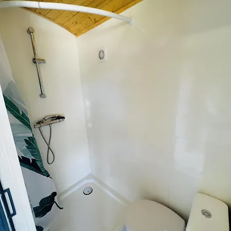 Magnolia Hoeve - Unieke Bestemming Voor Paardenliefhebbers En Bijzondere Overnachtingen In De * Ledeacker