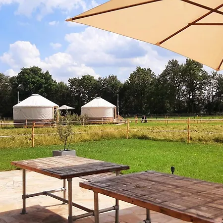 Magnolia Hoeve - Unieke Bestemming Voor Paardenliefhebbers En Bijzondere Overnachtingen In De Ledeacker