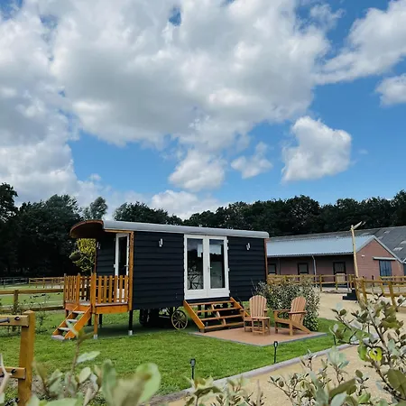 Magnolia Hoeve - Unieke Bestemming Voor Paardenliefhebbers En Bijzondere Overnachtingen In De Ledeacker