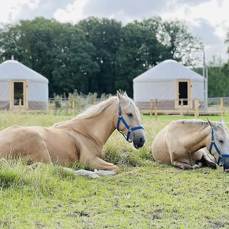 Magnolia Hoeve - Unieke Bestemming Voor Paardenliefhebbers En Bijzondere Overnachtingen In De *
