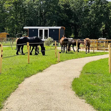 Magnolia Hoeve - Unieke Bestemming Voor Paardenliefhebbers En Bijzondere Overnachtingen In De אתר קמפינג