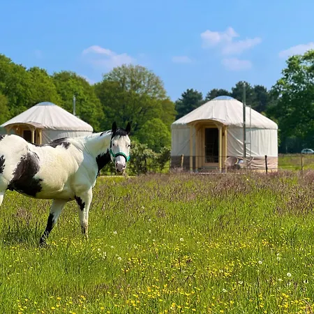 营地 Magnolia Hoeve - Unieke Bestemming Voor Paardenliefhebbers En Bijzondere Overnachtingen In De Ledeacker