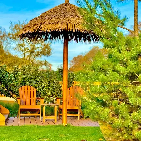 Magnolia Hoeve - Unieke Bestemming Voor Paardenliefhebbers En Bijzondere Overnachtingen In De Ledeacker