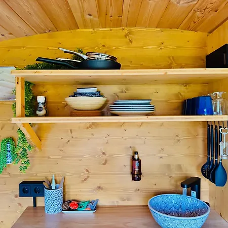 مكان تخييم Magnolia Hoeve - Unieke Bestemming Voor Paardenliefhebbers En Bijzondere Overnachtingen In De Ledeacker