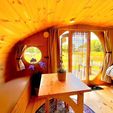 Magnolia Hoeve - Unieke Bestemming Voor Paardenliefhebbers En Bijzondere Overnachtingen In De * Ledeacker