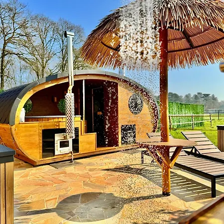 Magnolia Hoeve - Unieke Bestemming Voor Paardenliefhebbers En Bijzondere Overnachtingen In De مكان تخييم *