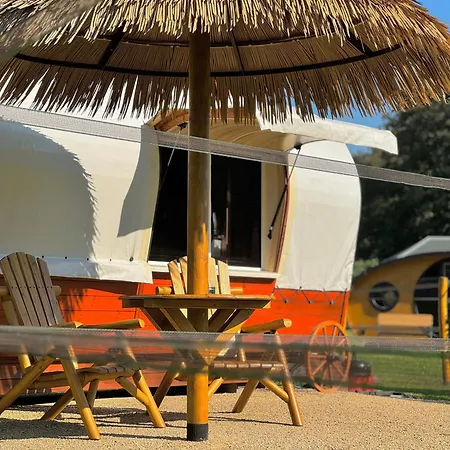 Campingplatz Magnolia Hoeve - Unieke Bestemming Voor Paardenliefhebbers En Bijzondere Overnachtingen In De *
