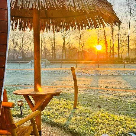 Campingplatz Magnolia Hoeve - Unieke Bestemming Voor Paardenliefhebbers En Bijzondere Overnachtingen In De *