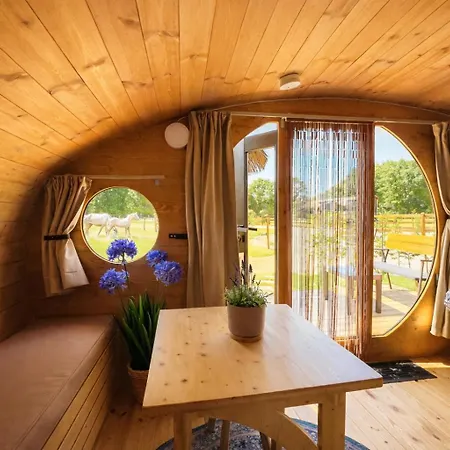 Magnolia Hoeve - Unieke Bestemming Voor Paardenliefhebbers En Bijzondere Overnachtingen In De Campeggio