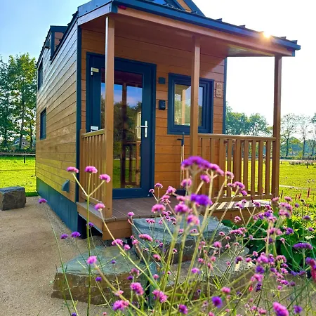 Magnolia Hoeve - Unieke Bestemming Voor Paardenliefhebbers En Bijzondere Overnachtingen In De Campingplatz Ledeacker