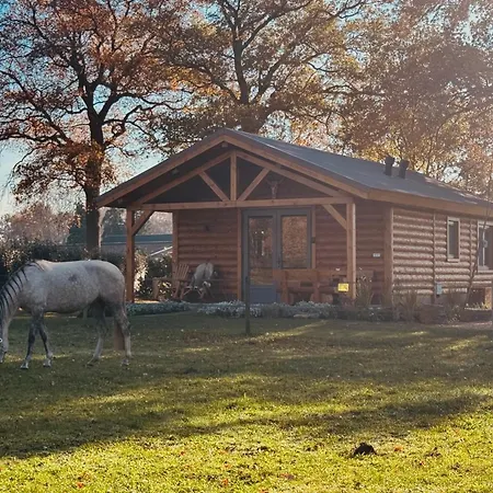 Magnolia Hoeve - Unieke Bestemming Voor Paardenliefhebbers En Bijzondere Overnachtingen In De Ledeacker