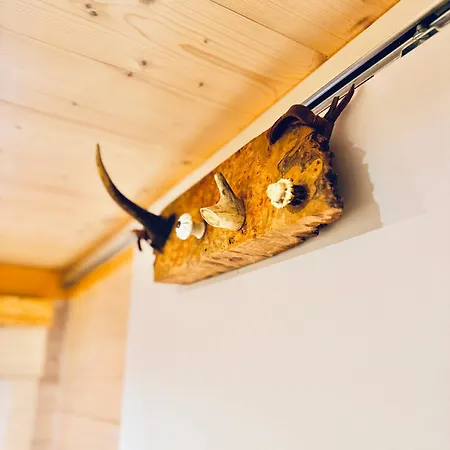 Magnolia Hoeve - Unieke Bestemming Voor Paardenliefhebbers En Bijzondere Overnachtingen In De
