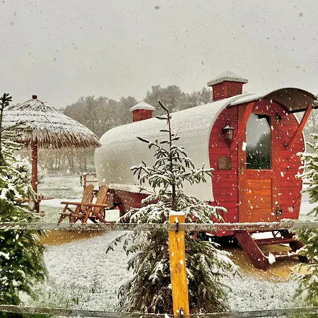 Magnolia Hoeve - Unieke Bestemming Voor Paardenliefhebbers En Bijzondere Overnachtingen In De *