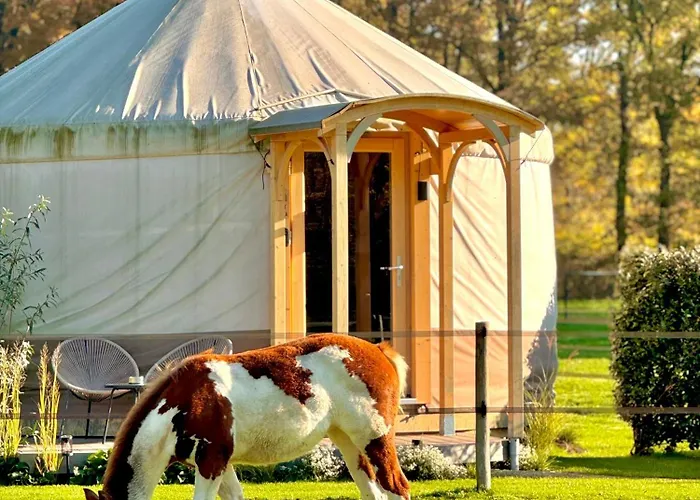 Magnolia Hoeve - Unieke Bestemming Voor Paardenliefhebbers En Bijzondere Overnachtingen In De Ledeacker