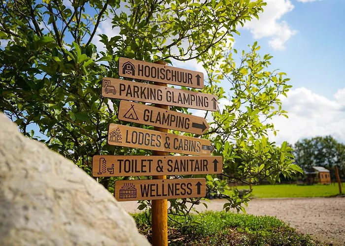 Magnolia Hoeve - Unieke Bestemming Voor Paardenliefhebbers En Bijzondere Overnachtingen In De مكان تخييم