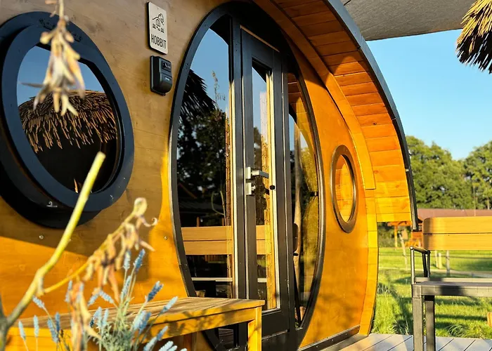 Magnolia Hoeve - Unieke Bestemming Voor Paardenliefhebbers En Bijzondere Overnachtingen In De * Ledeacker