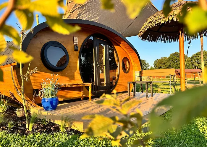 Campingplatz Magnolia Hoeve - Unieke Bestemming Voor Paardenliefhebbers En Bijzondere Overnachtingen In De Ledeacker