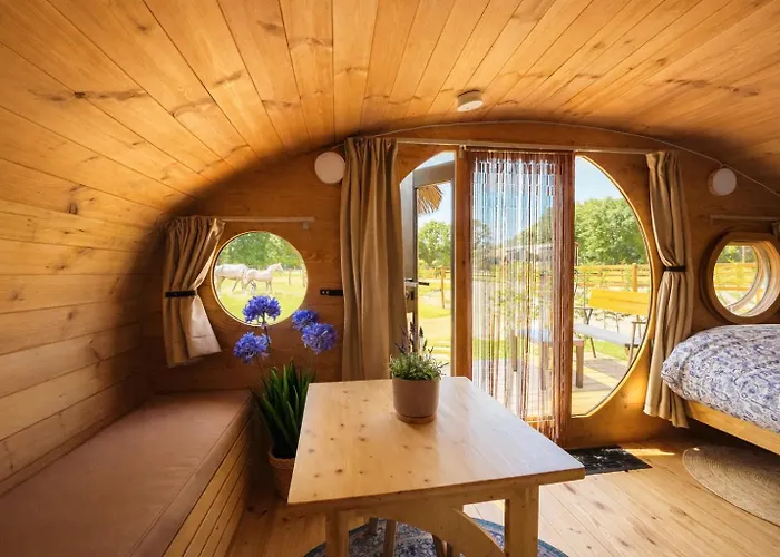 Magnolia Hoeve - Unieke Bestemming Voor Paardenliefhebbers En Bijzondere Overnachtingen In De Campingplatz