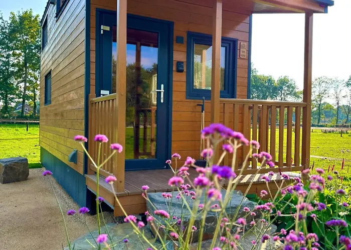 Magnolia Hoeve - Unieke Bestemming Voor Paardenliefhebbers En Bijzondere Overnachtingen In De مكان تخييم Ledeacker