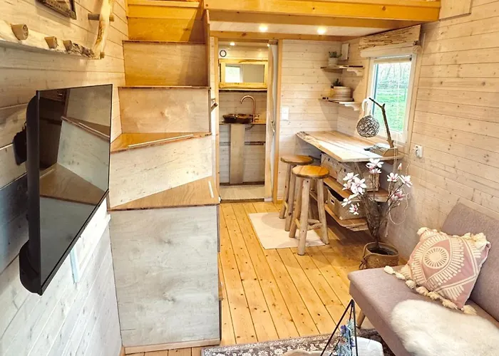 Campingplatz Magnolia Hoeve - Unieke Bestemming Voor Paardenliefhebbers En Bijzondere Overnachtingen In De Ledeacker