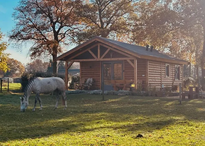 Magnolia Hoeve - Unieke Bestemming Voor Paardenliefhebbers En Bijzondere Overnachtingen In De Ledeacker