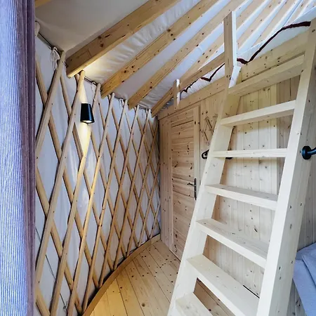 Magnolia Hoeve - Unieke Bestemming Voor Paardenliefhebbers En Bijzondere Overnachtingen In De Ledeacker