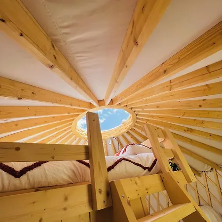 Magnolia Hoeve - Unieke Bestemming Voor Paardenliefhebbers En Bijzondere Overnachtingen In De