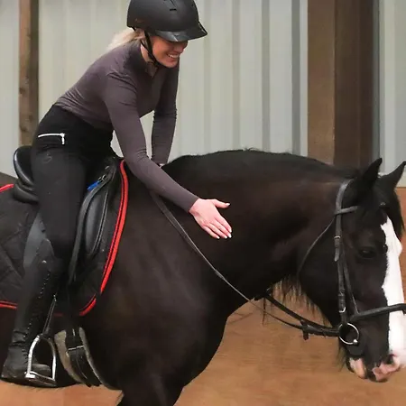 Camping Magnolia Hoeve - Unieke Bestemming Voor Paardenliefhebbers En Bijzondere Overnachtingen In De *