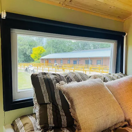 Magnolia Hoeve - Unieke Bestemming Voor Paardenliefhebbers En Bijzondere Overnachtingen In De Ledeacker