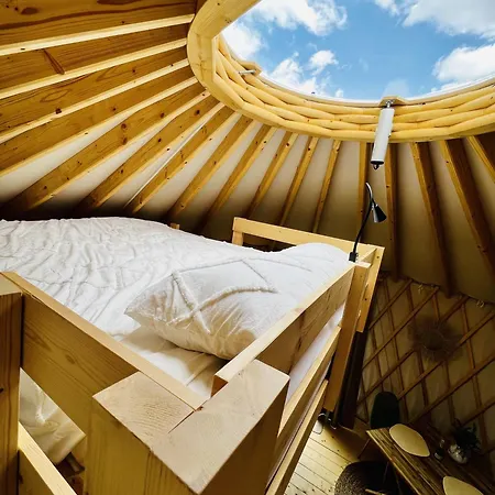 Camping Magnolia Hoeve - Unieke Bestemming Voor Paardenliefhebbers En Bijzondere Overnachtingen In De Ledeacker