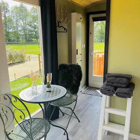 Magnolia Hoeve - Unieke Bestemming Voor Paardenliefhebbers En Bijzondere Overnachtingen In De * Ledeacker