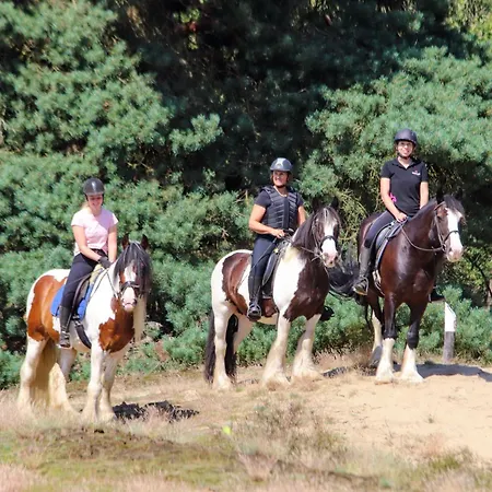 Magnolia Hoeve - Unieke Bestemming Voor Paardenliefhebbers En Bijzondere Overnachtingen In De Camping Ledeacker