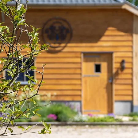 Magnolia Hoeve - Unieke Bestemming Voor Paardenliefhebbers En Bijzondere Overnachtingen In De Camping