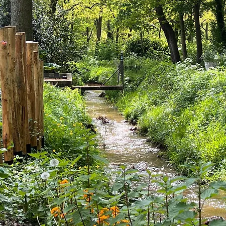Magnolia Hoeve - Unieke Bestemming Voor Paardenliefhebbers En Bijzondere Overnachtingen In De Ledeacker