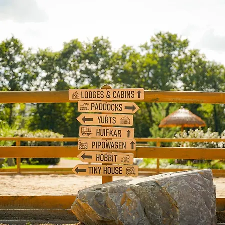 Camping Magnolia Hoeve - Unieke Bestemming Voor Paardenliefhebbers En Bijzondere Overnachtingen In De