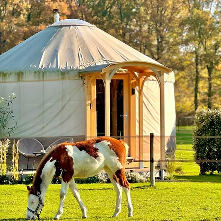 Magnolia Hoeve - Unieke Bestemming Voor Paardenliefhebbers En Bijzondere Overnachtingen In De Ledeacker