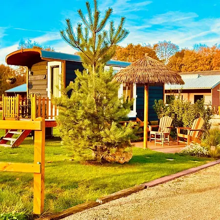 Magnolia Hoeve - Unieke Bestemming Voor Paardenliefhebbers En Bijzondere Overnachtingen In De Camping