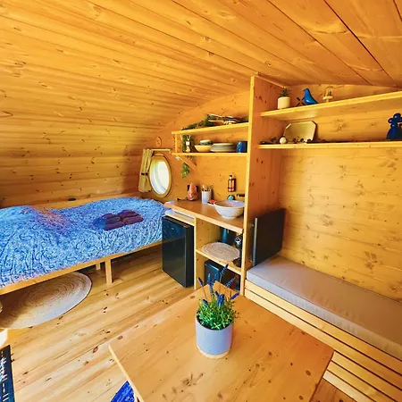 Magnolia Hoeve - Unieke Bestemming Voor Paardenliefhebbers En Bijzondere Overnachtingen In De Ledeacker