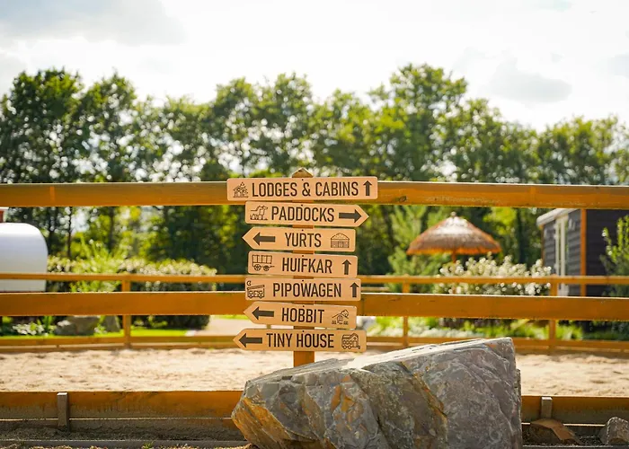 Campsite Magnolia Hoeve - Unieke Bestemming Voor Paardenliefhebbers En Bijzondere Overnachtingen In De